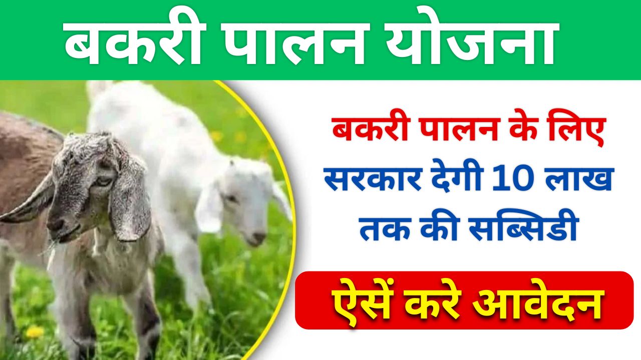 Bakri Palan Yojana Apply