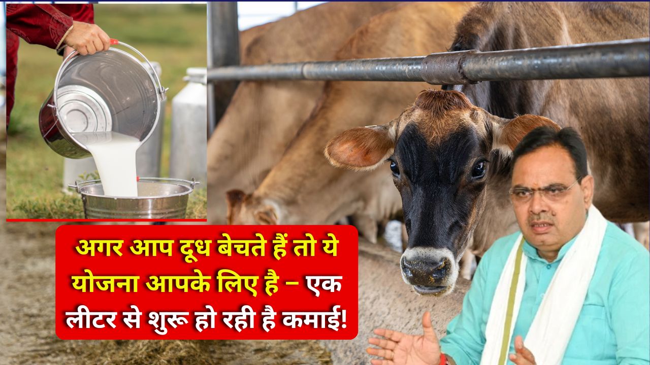 Rajasthan Milk Subsidy Scheme